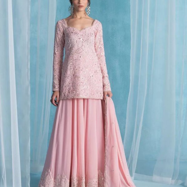 Aaralyn Blush Pearl Sharara Set